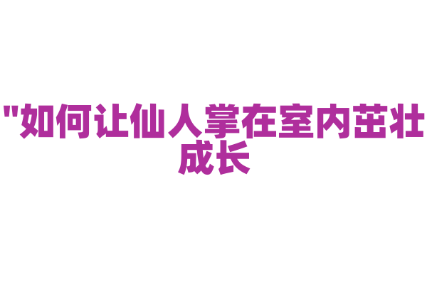 "如何让仙人掌在室内茁壮成长？"